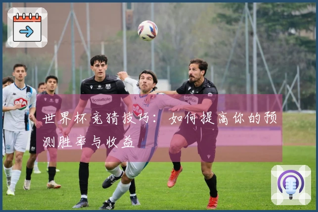 世界杯竞猜技巧：如何提高你的预测胜率与收益