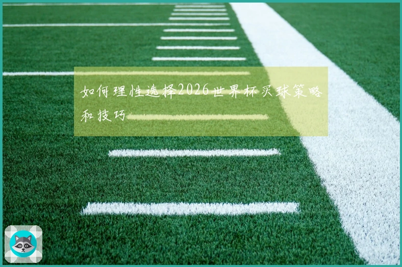 如何理性选择2026世界杯买球策略和技巧