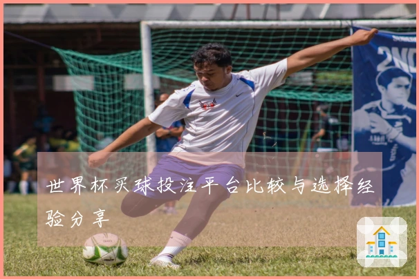 世界杯买球投注平台比较与选择经验分享