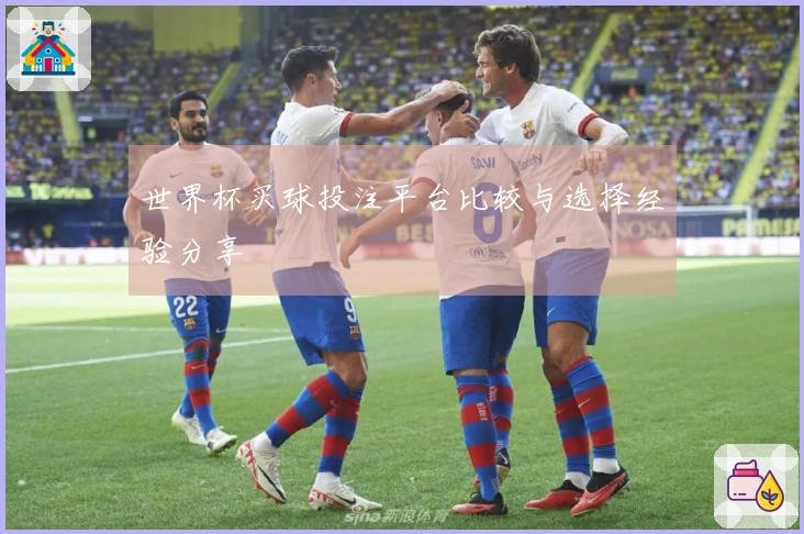 世界杯买球投注平台比较与选择经验分享