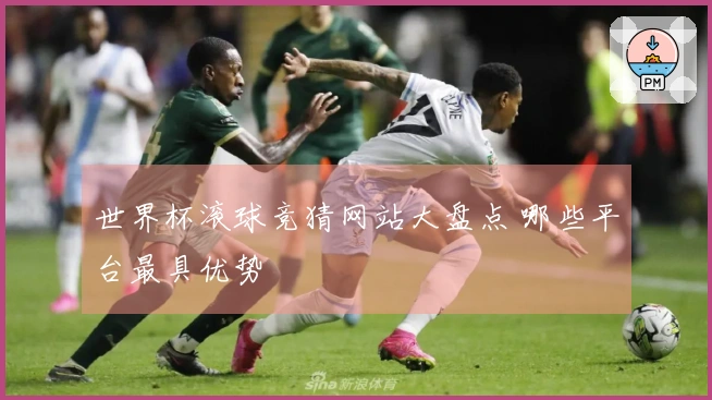 世界杯滚球竞猜网站大盘点 哪些平台最具优势
