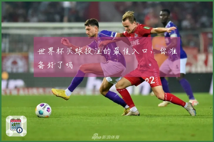 世界杯买球投注的最佳入口，你准备好了吗