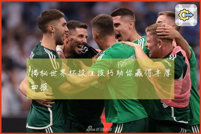 揭秘世界杯投注技巧助你赢得丰厚回报