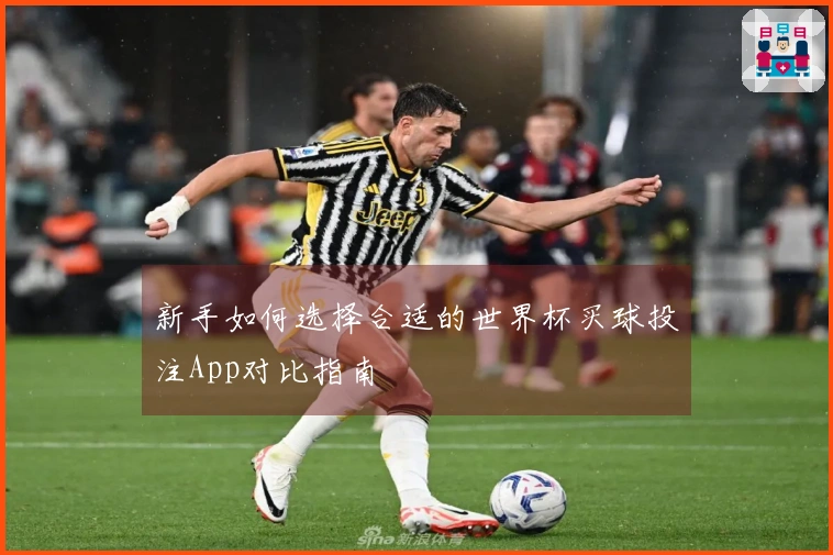 新手如何选择合适的世界杯买球投注App对比指南