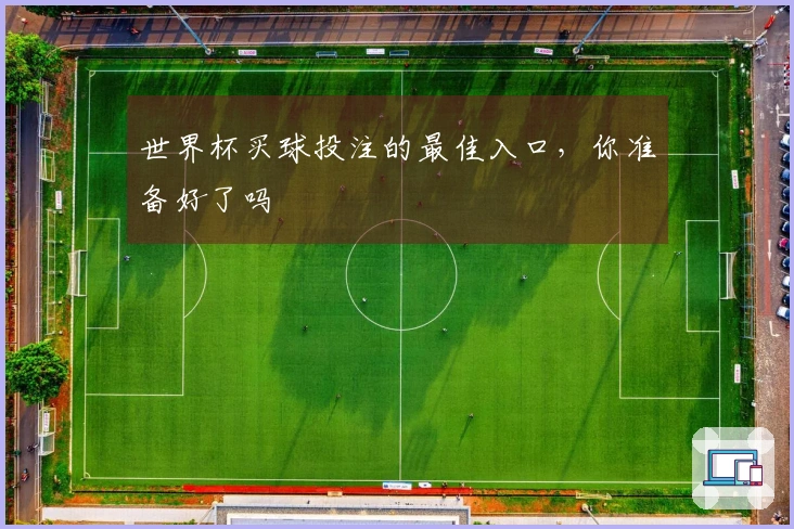 世界杯买球投注的最佳入口，你准备好了吗